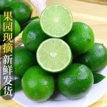 一件代发泰国品种无籽青柠檬薄皮多汁青柠