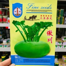 三系杂交青苤兰种子蔬菜基地春秋两季播种扁圆形苤蓝种子