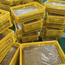 百香果果汁果浆果酱果肉百香果原浆大量供应