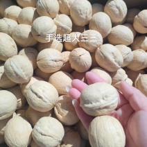 一手货源批发新疆薄皮核桃