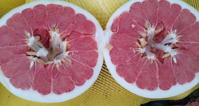 哪里批发柚子批发