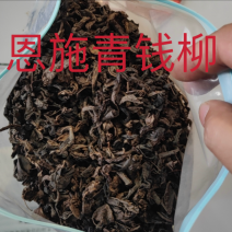 恩施富硒青钱柳