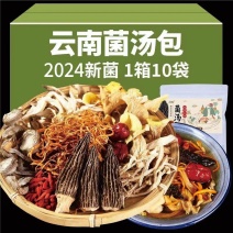 【煲汤】云南特产松茸七彩菌汤包羊肚菌干货菌菇包汤料包菌类