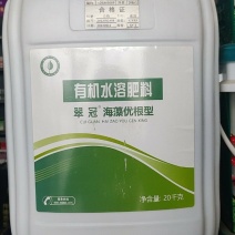 翠冠泡叶藻酶解寡糖素