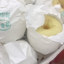 四川汉源县套代京花梨大上市，鲜，味好，有几仟万斤需要的联