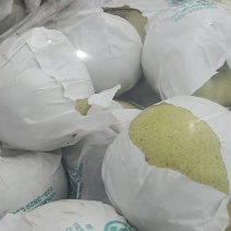 四川汉源县雪花梨，大上市，鲜味好，有几千万斤，需要的联