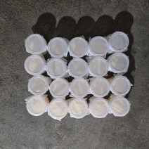 黑水虻虫卵批发，价格便宜