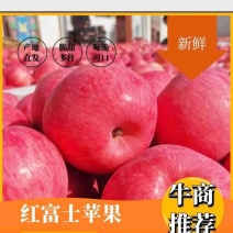 [优选]云南昭通红富士苹果苹果口感清脆产地直发价丽