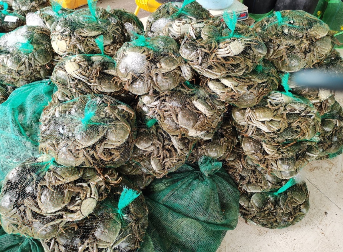 一位回族家庭围坐餐桌前，桌上摆着蒸熟的大闸蟹