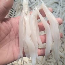 质量放在第一位，解冻和鲜货无差别。