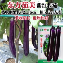 绿霸东方茄美茄子种籽紫红长茄种子早熟四季抗病高产春秋长茄