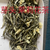 恩施芽头茉莉花
