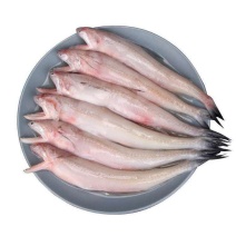 开海新捕九肚鱼水龙鱼特级豆腐鱼速冻水潺狗肚宝宝辅食龙头鱼