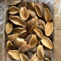 黄金鲍螺头鲍螺肉熟冻鲍螺海螺肉螺头