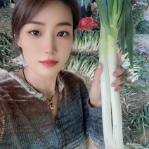 山东精品大葱，铁杆钢葱，铁杆大葱，费县大葱，山东大葱