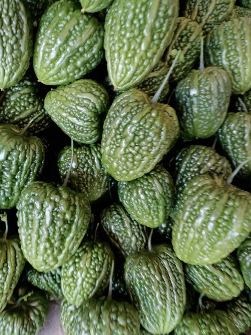 江门大顶苦瓜