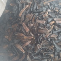 水蛭蚂蝗吊干水蛭批发零售各种中药材