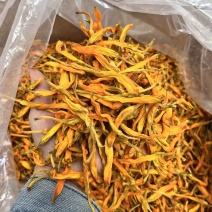 【台湾黄花菜】大货批发价格优势新品种口感爽脆电商直播爆品