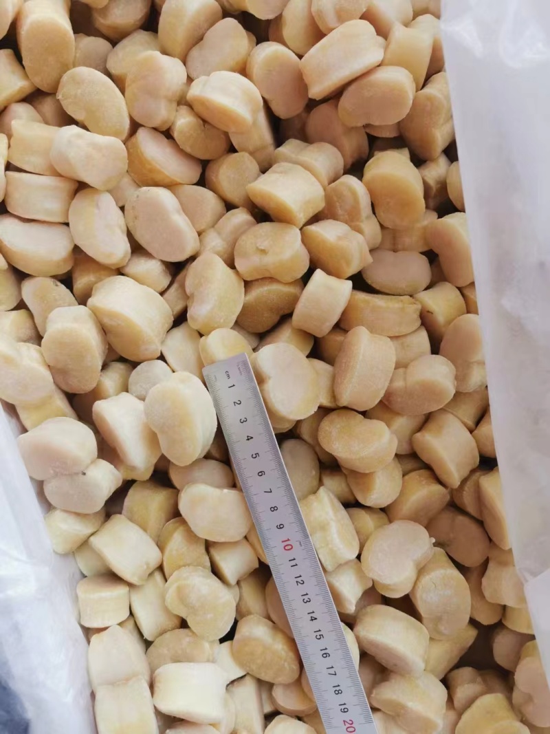 原汁江瑶贝柱江瑶贝带子肉原料精选贝柱鲜贝