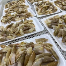 开边蛏子王200g*24盘精选去脏竹蛏子竹蛏王海蛏子头
