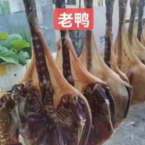 老腊鸭