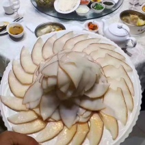 海螺片黄金鲍螺片螺肉片，鲜甜筋道爆炒双响螺片海丞相