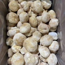 古田猴头菇，农家直采，各规格齐全可接各种定制
