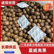 【推荐】云南当季夏威夷果干果产地直发大量上市