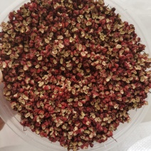 花椒大量有货现货直发欢迎合作