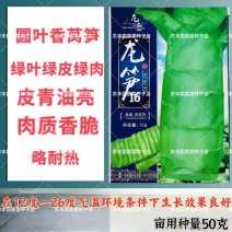 龙笋16莴笋种子圆叶绿皮绿肉香莴笋种子半高桩长棒肉质香脆