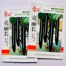 帮达亮丽长茄子种籽春秋杂交早中熟茄籽种长条果皮紫黑色茄子