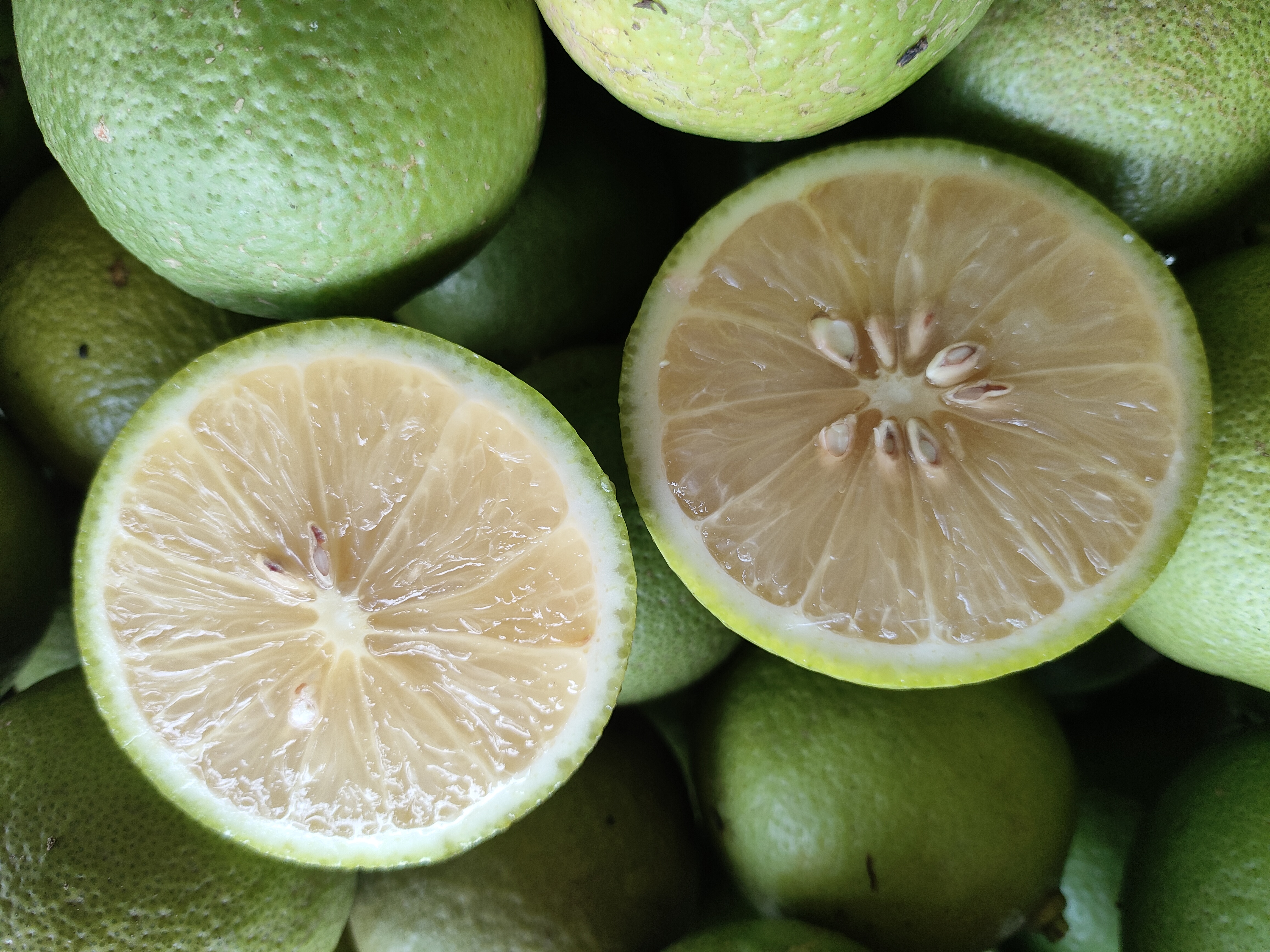 高清微距摄影:成熟尤力克柠檬(Citrus limon 'Eureka')横切面,展示高汁囊密度与透亮果肉结构,体现其作为优质鲜食柠檬品种的典型形态特征 尤力克柠檬横切特写,果肉饱满呈淡黄色,汁囊清晰可见,表面附着细微晶莹水珠,背景为木质砧板与不锈钢榨汁器