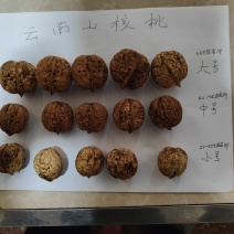 云南核桃新干簿皮核桃山货泡核桃老树核桃量大从优