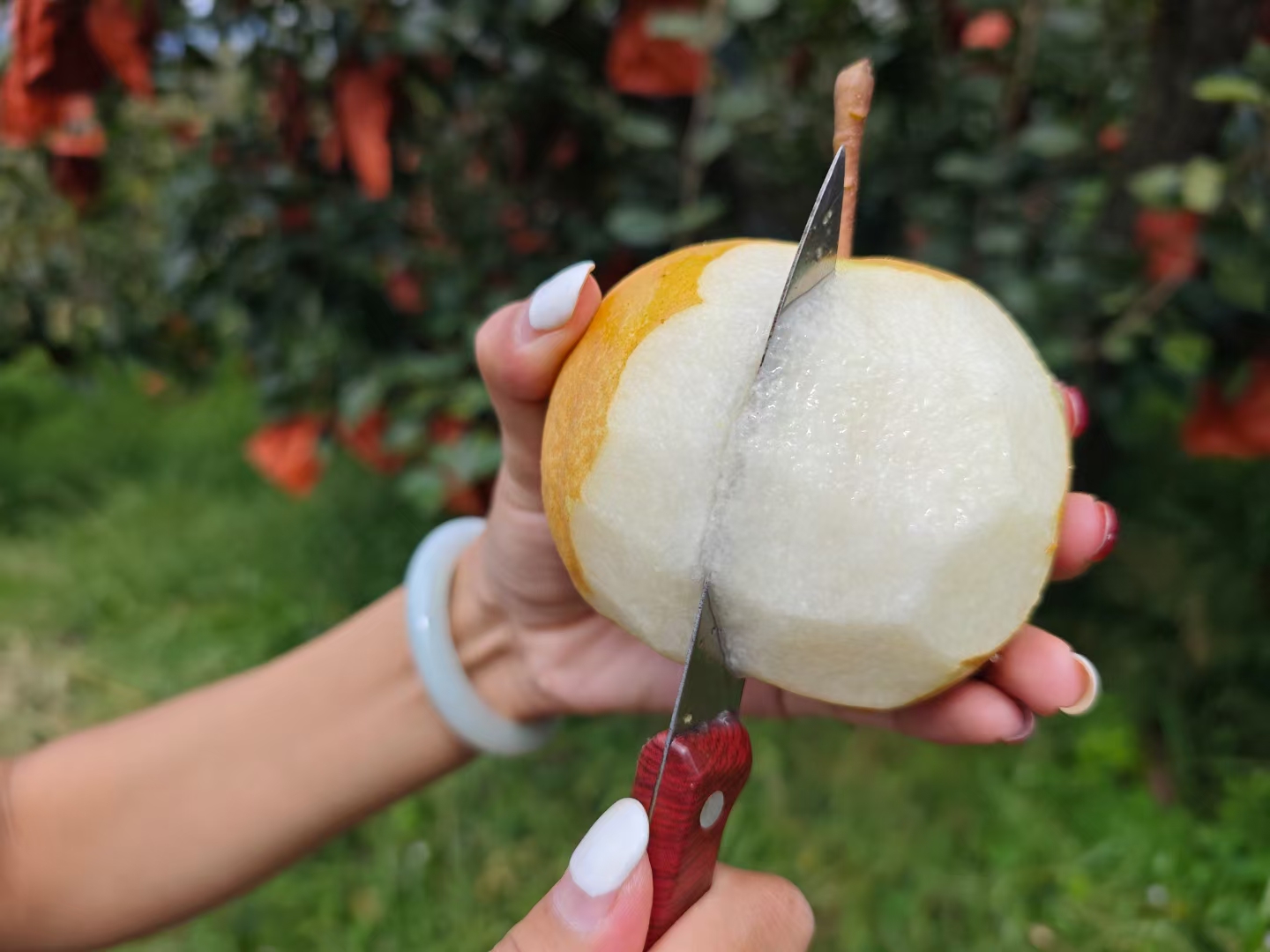 家庭厨房场景中女性正在清洗和切雪梨