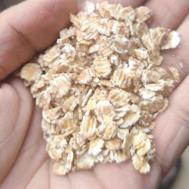 长期出售压麦片