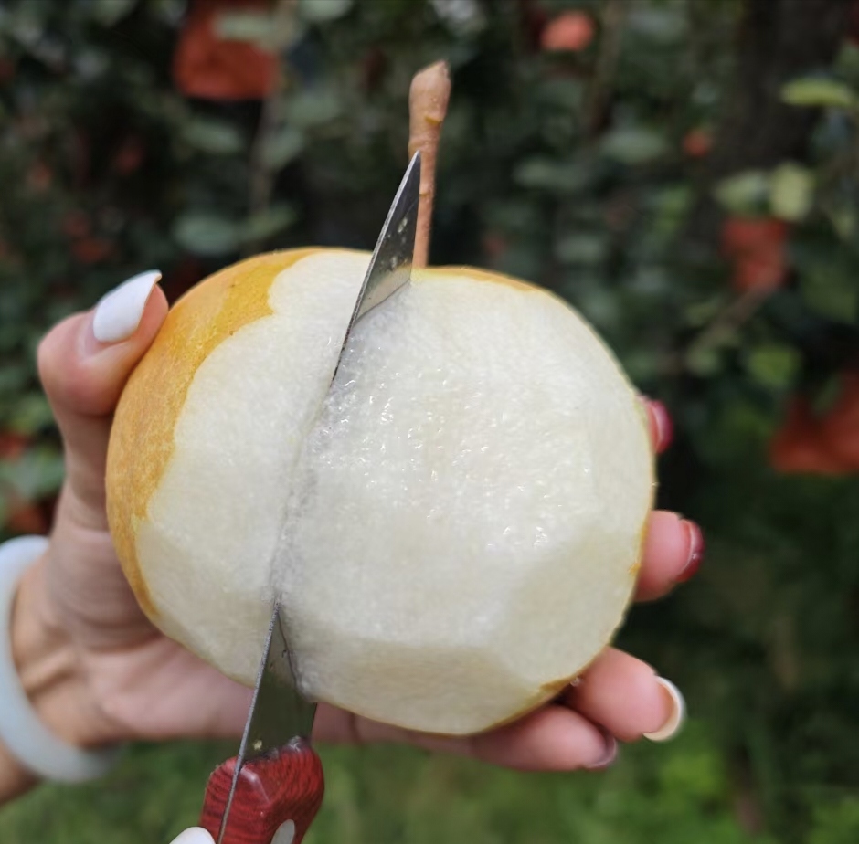 葡萄柚削皮技巧演示