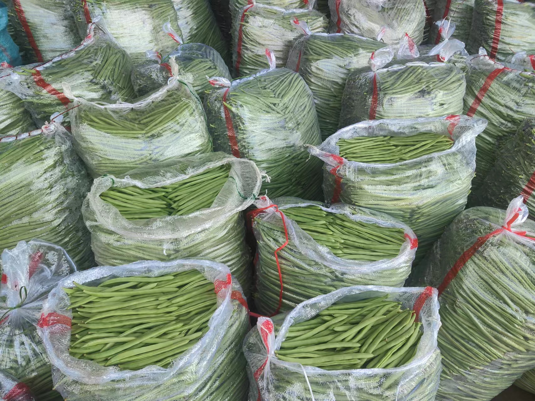 图中展示带有非转基因标识的大豆产品包装,帮助消费者识别是否为转基因产品 大豆产品包装上的非转基因标识示意图