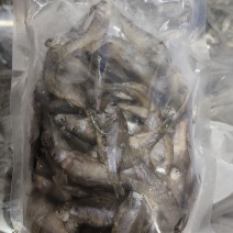 鳑鲏鱼风干鳑鲏鱼风干广皮鱼屎光皮鱼