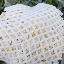 精品松花菜