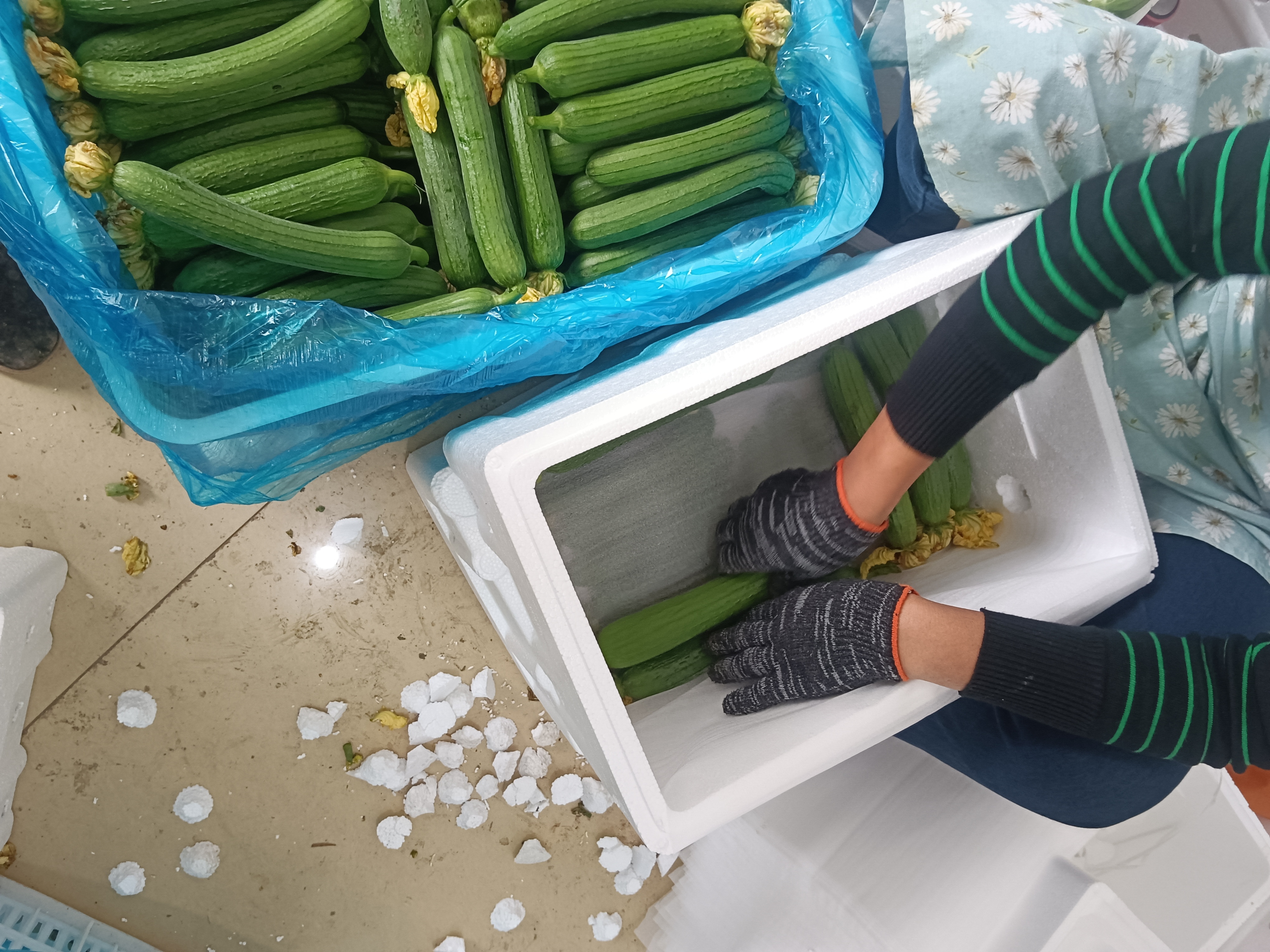 丝瓜去皮过程示意图