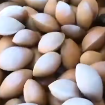 银杏果