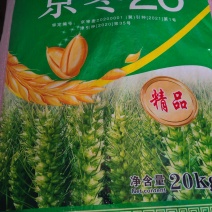 北京农科院选育冬小麦高产新品种生产公司