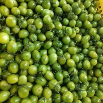 新鲜圣女果，甜蜜多汁，健康美味，**特惠，速来抢购！