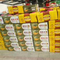 西州蜜甜瓜，产地直发，货好甜度高