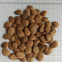 杏仁，甜杏仁新货颗粒饱满无碎，实拍现货规格齐全