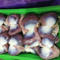 鹅胗