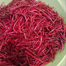 丘北辣椒，货量充足，量大从优，欢迎致电