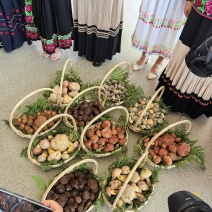 云南各种野生菌