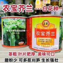 广东白花芥兰种子正源和利农蔬菜种籽农宝芥兰种子白花蜡粉少