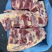 牛骨/牛小排也叫牛胸骨/厂家直发也免费加工剧段支持拿样